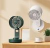 Desk fan W20 green