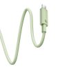 Baseus Habitat Series gyorstöltő kábel USB-C - USB-C, 100W, 2m (zöld)