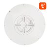 Gosund LB12 WiFi/Bluetooth intelligens mennyezeti lámpa, 1920lm, 30cm, 16M, Tuya + távirányító