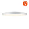 Gosund LB13 WiFi/Bluetooth intelligens mennyezeti lámpa, 1600lm, 30cm, 16M, Tuya + távirányító